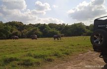 Sri Lanka 8 days Tours with Privet Vehicle & Accommodations (B/B)