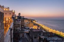 Luxury Tangier Private Day Tour from Estepona All inclusiv vip
