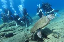 Heraklion: Scuba Diving Experience for Beginners