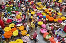 Full-Day Private Bangalore City Tour by Metro Train