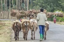 Addis Ababa +Mount Entoto View Point,Museums Palace Market Tours