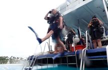 Shared Experience PADI Open Water Diver Course Gold