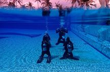 Shared Experience PADI Open Water Diver Course Gold