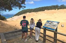 Rainbow Beach Private Tour with Lunch, Carlo Sandblow & Cooloola