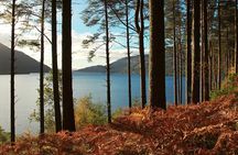 Stirling Castle, Loch Lomond and Cruise Day Tour from Glasgow