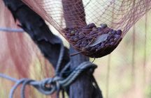 Lievàntu Wine Experience