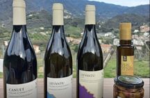 Lievàntu Wine Experience
