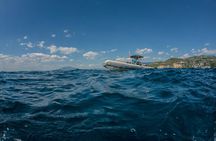 Afternoon snorkelling guided by a marine biologist in Sorrento