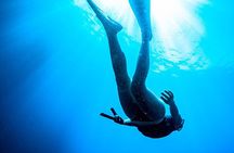 Sorrento 3 - Hour Afternoon Snorkel by RIB with Marine Biologist