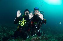 Discover Scuba Diving PADI - Trial dive in Sorrento
