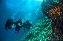 Discover Scuba Diving PADI - Trial dive in Sorrento