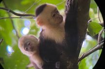 Full Day Tour to Hacienda Baru and Nauyaca Waterfalls