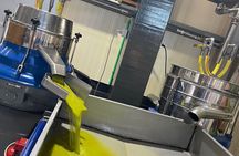 PRIVATE-Wine tasting-Olive Oil Factory-Old Traditional Villages 
