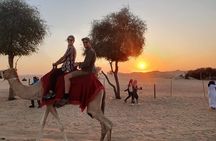 Full Day Desert Safari Experience with BBQ Dinner in Lahbab Dubai