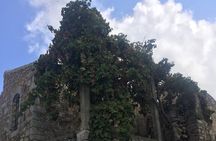 PRIVATE-Wine+ Olive Oil-Old Traditional Villages-Old Wind Mills 