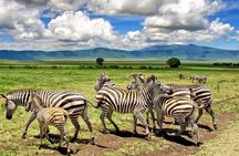 5-Day Classic Tarangire, Serengeti & Ngorongoro Camping