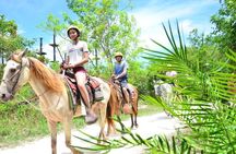 Horseback Riding on the Stunning Beaches of Punta Cana