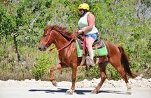 Horseback Riding on the Stunning Beaches of Punta Cana
