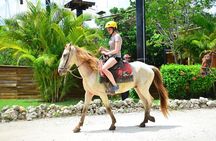 Horseback Riding on the Stunning Beaches of Punta Cana