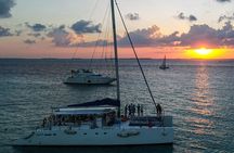 Contoy Island Tour from Playa del Carmen & Cancun