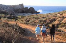 Sunrise Guided Desert Hike in Los Cabos