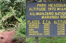 Mount Kilimanjaro Day Hike Through Marangu Route to Mandara Hut