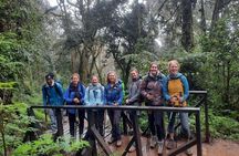 Mount Kilimanjaro Day Hike Through Marangu Route to Mandara Hut