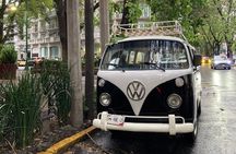 Mexico City PRIVATE Lucha Libre, mezcal & Tacos on a 1975 VW Bus