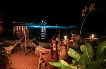 Rhythms of the night, sunset cruise, open bar & oceanfront dinner