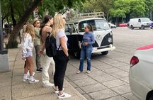 Mexico City Private tour to Coyoacan & Xochimilco on 1975 VW Bus 