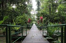 Hike the Cerro Tortuguero Trail