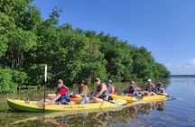 Kayak Tour in Laguna Nichupte Cancun