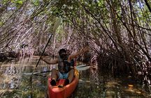 Kayak Tour in Laguna Nichupte Cancun