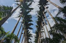 Discover the Essence of Sri Lanka