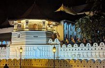 Discover the Essence of Sri Lanka