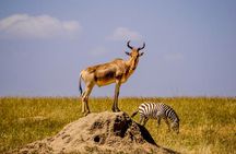 Full Day Tour To Arusha National Park Canoeing Safari