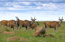 Full Day Tour To Arusha National Park Canoeing Safari