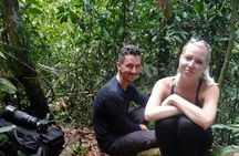 Wonderful 2Days 1Night Bukit Lawang Jungle Trekking Free Rafting