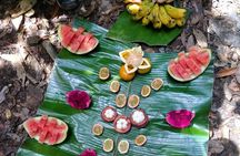 Wonderful 2Days 1Night Bukit Lawang Jungle Trekking Free Rafting