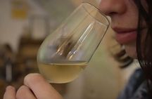 Jerez and Cadiz, with Horse Ballet and Sherry Tasting Full-day from Seville