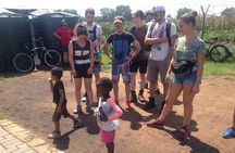 Half Day Guided Tour in Soweto
