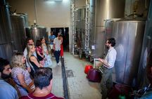 Florence: Siena & San Gimignano with Dinner in a Boutique Winery