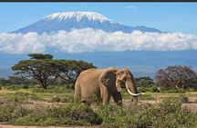 Overnight Safari to Amboseli National Park