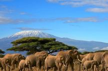 Overnight Safari to Amboseli National Park