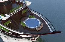 2 Day Guided Cruise Tour in Halong Bay and Lan Ha Bay from Hanoi