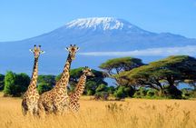 Overnight Safari to Amboseli National Park