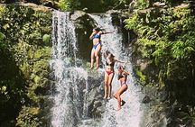 The best half day of your life! Luxury Road to Hana private tour