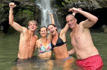 The best half day of your life! Luxury Road to Hana private tour