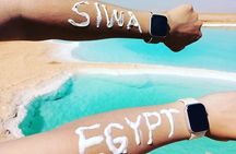  experience Siwa tour from Cairo & Giza all inclusive 