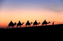 Doha City and Desert Safari Tours (Combo Tour)